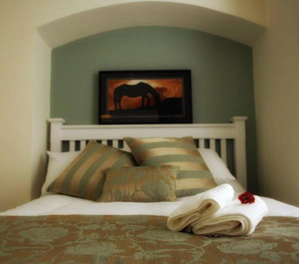 Salthill Prairie House - Boutique Townhouseゲストハウス エクステリア 写真